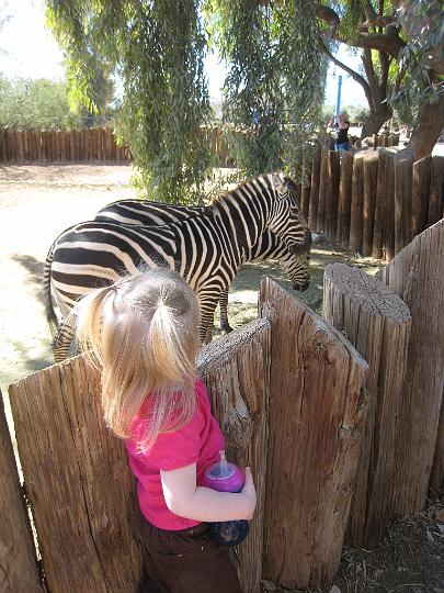 2nd Birthday at the zoo 35.JPG